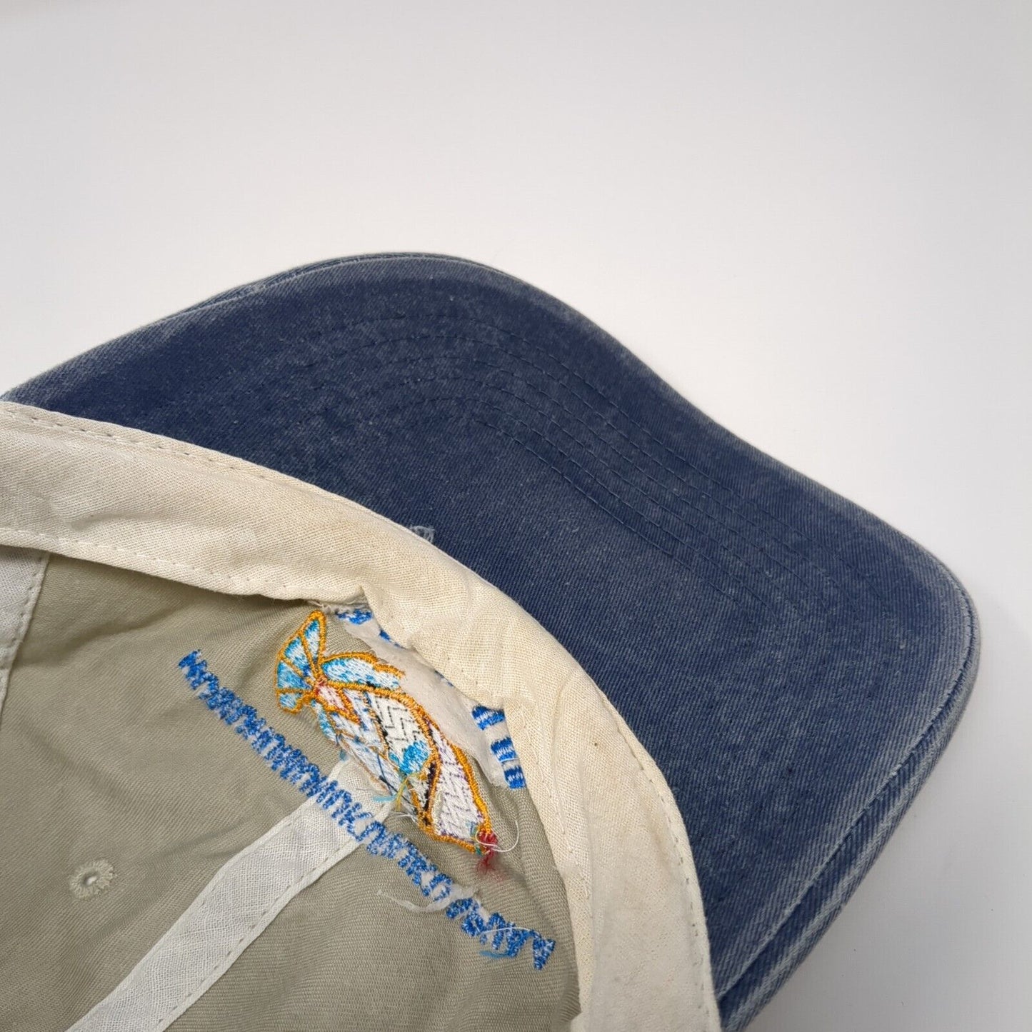 Humuhumunukunukuapua'a Maui Strapback Hat Multi One Size Colorblock