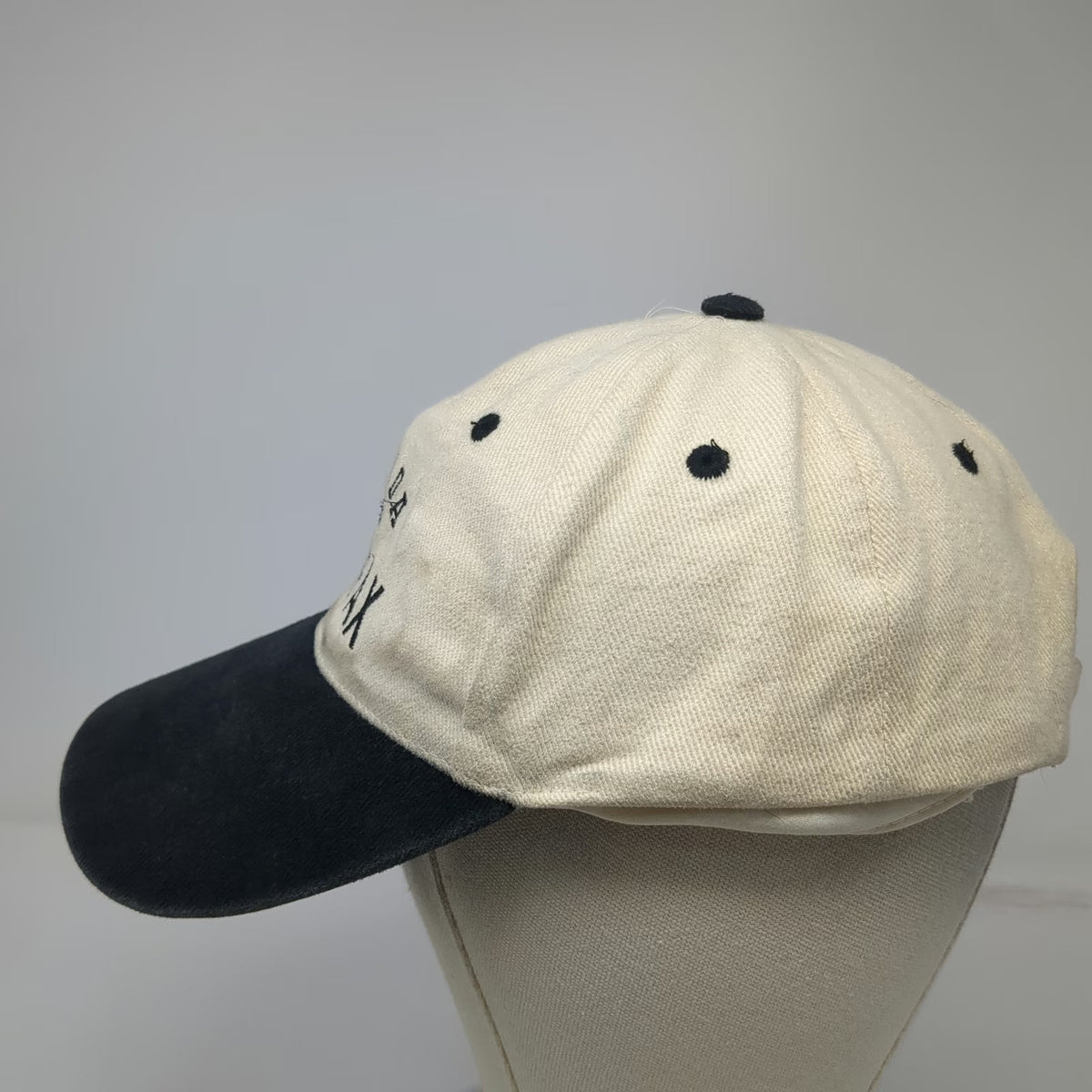 Celsius Baseball Cap Beige One Size Halifax Canada Strapback Two Tone Hat