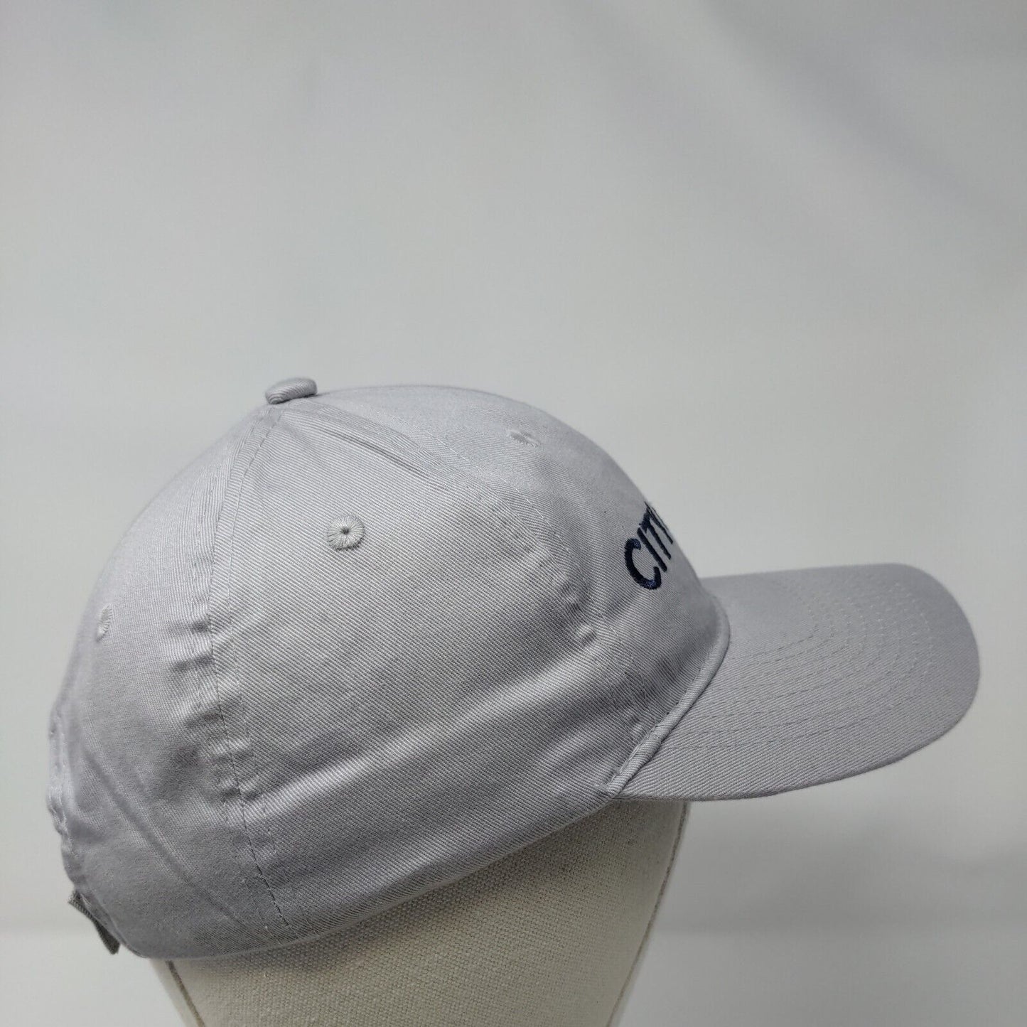 City of Boise Strapback Hat Gray One Size Adjustable Embroidered Port & Company