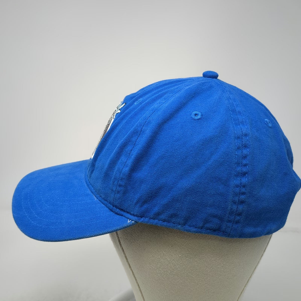 Rick and Morty Baseball Cap Blue One Size Adult Swim Graphic Slideback Hat