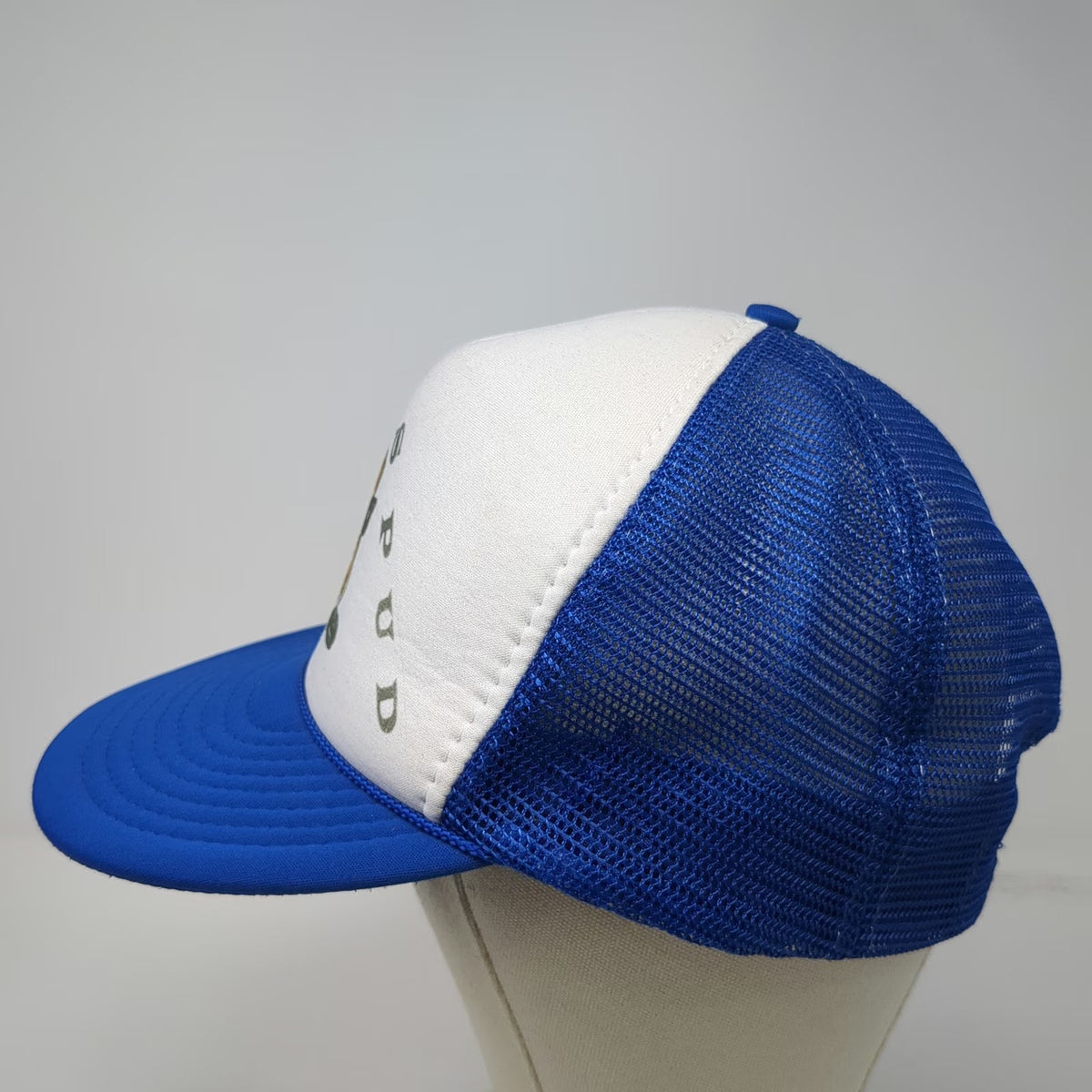 Nissin Cap Idaho Spud Candy Blue Trucker Hat One Size Mesh Back Snapback Graphic