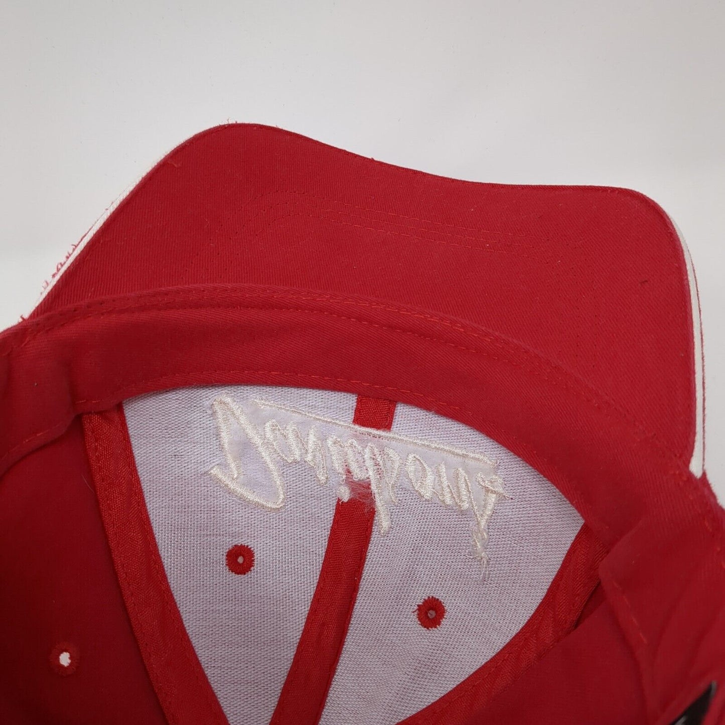 Davidson's Established in 1932 Strapback Hat Red OS Adjustable Mountain Lakes