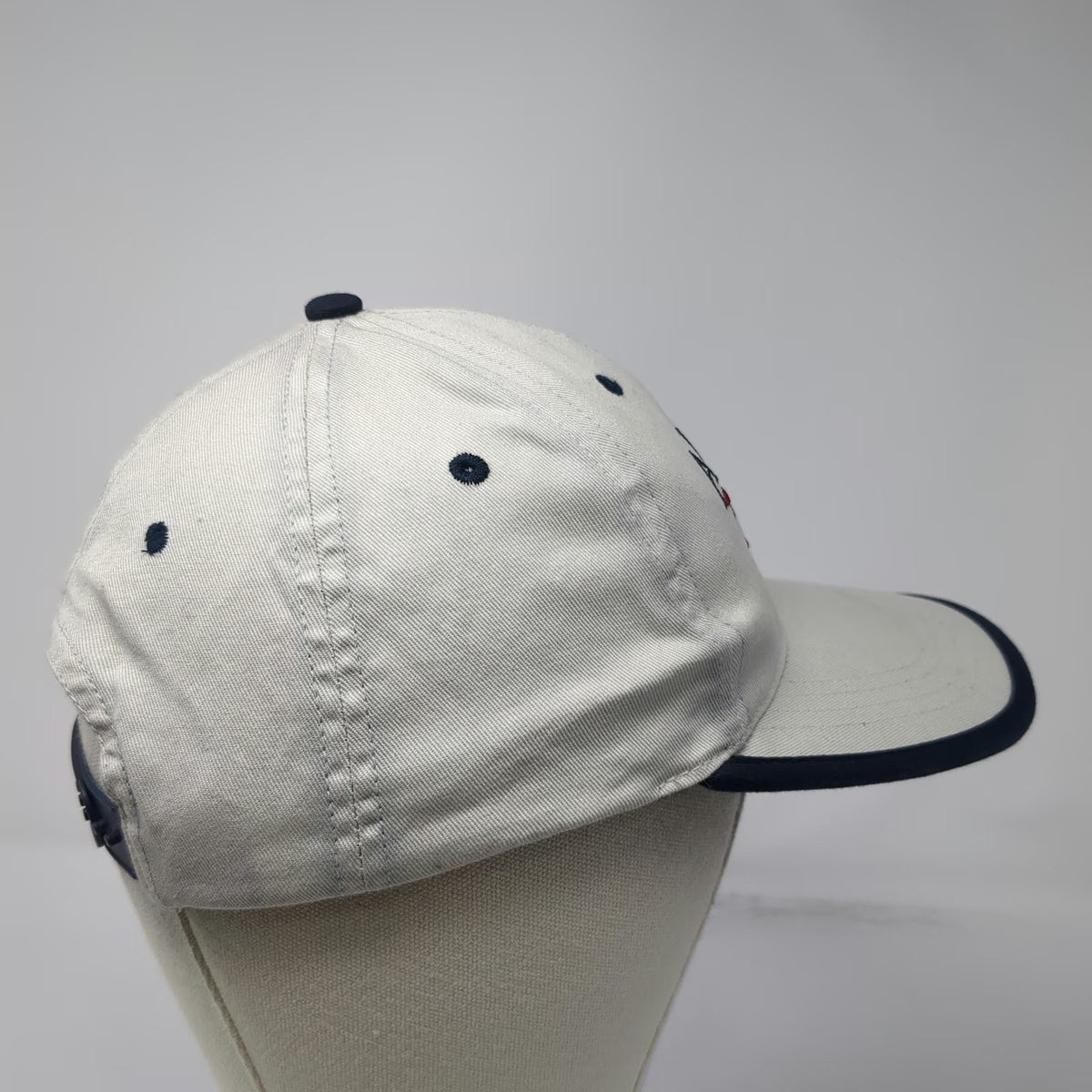 Tongass Alaska Seaplane Mountain Hat Beige Blue One Size Snapback Baseball Cap