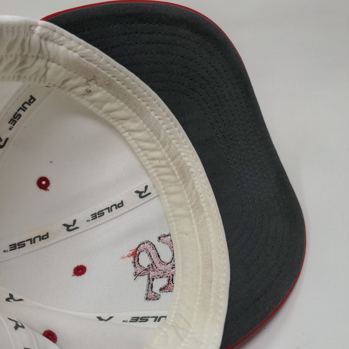 SF San Francisco Fitted Hat Multicolor L/XL PTS 20 Pulse Embroidered Richardson