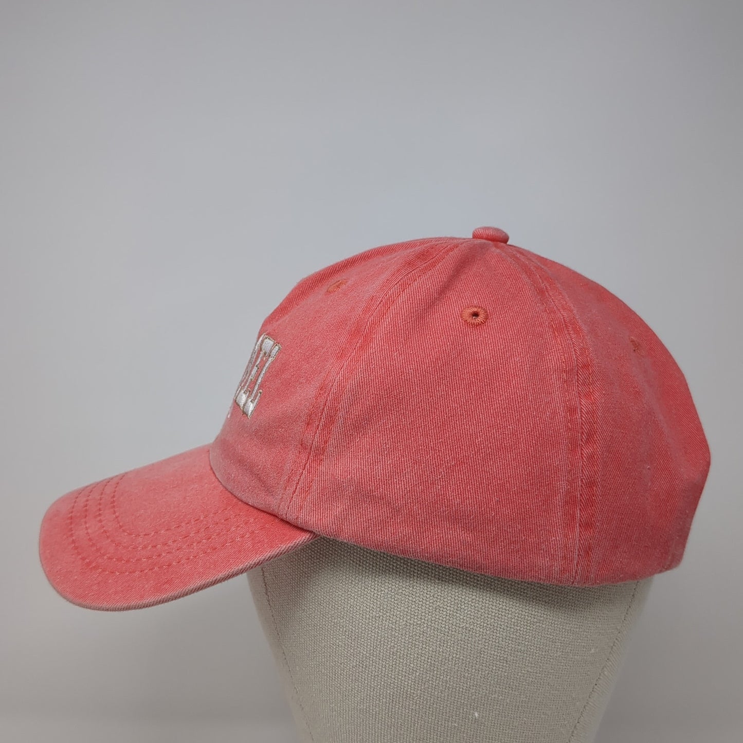 Cozumel Mexico Strapback Hat Pink One Size Embroidered Dkps Gorras