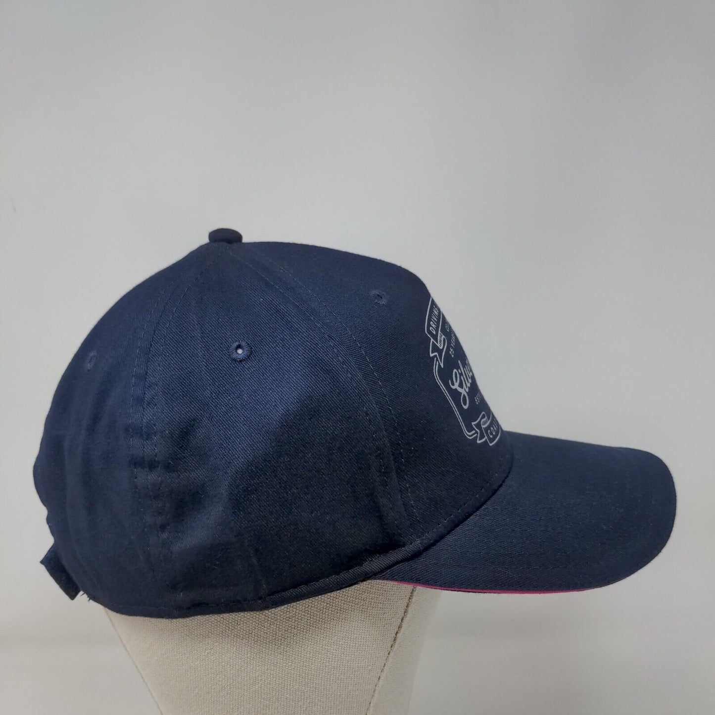 Driving Out Cancer Coast To Coast Auto Nation Strapback Hat Blue One Size