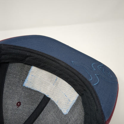 Cactus Ropes Texas Snapback Trucker Hat Multicolor OS Adjustable Mesh Hooey