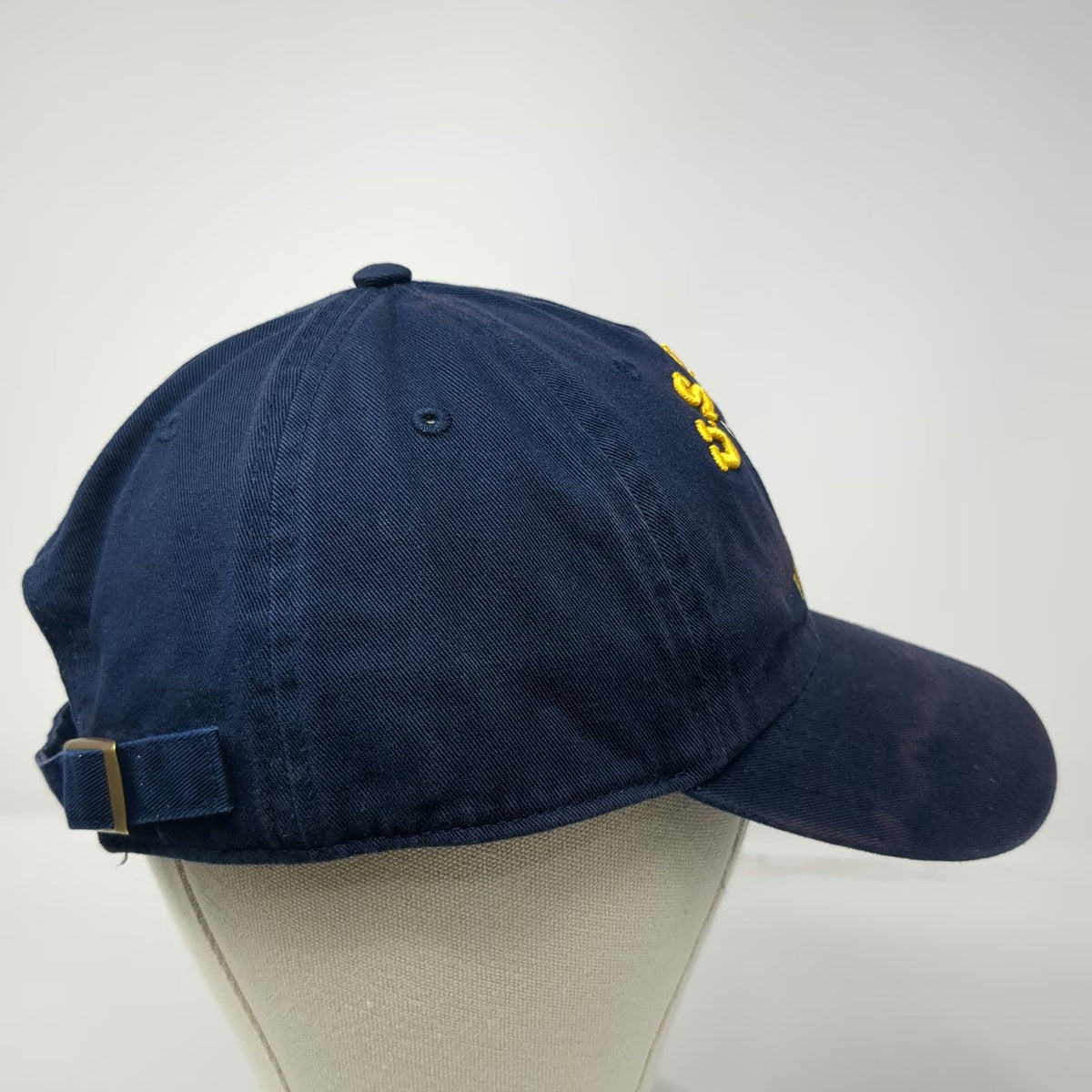 Desert Cactus Baseball Cap Blue One Size U.S. Navy Veteran Cotton Slideback Hat