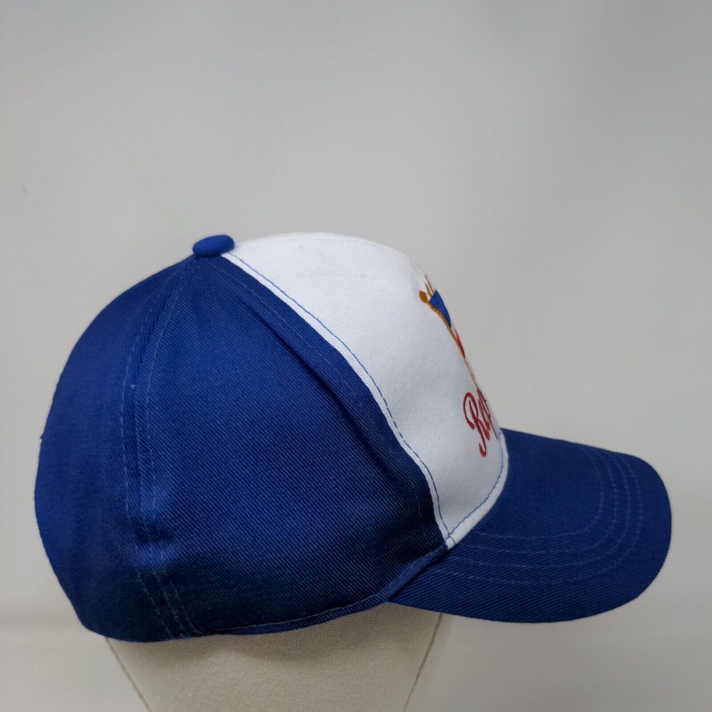 Rep Dom Flag Snapback Hat Blue One Size Embroidered Colorblock