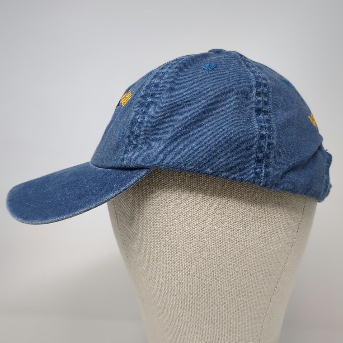 Fort Authority Baseball Cap Blue One Size Hat Kezar Lake NH Loon Embroidered