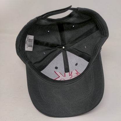 AK Last Frontier Strapback Hat Gray One Size Adjustable Embroidered