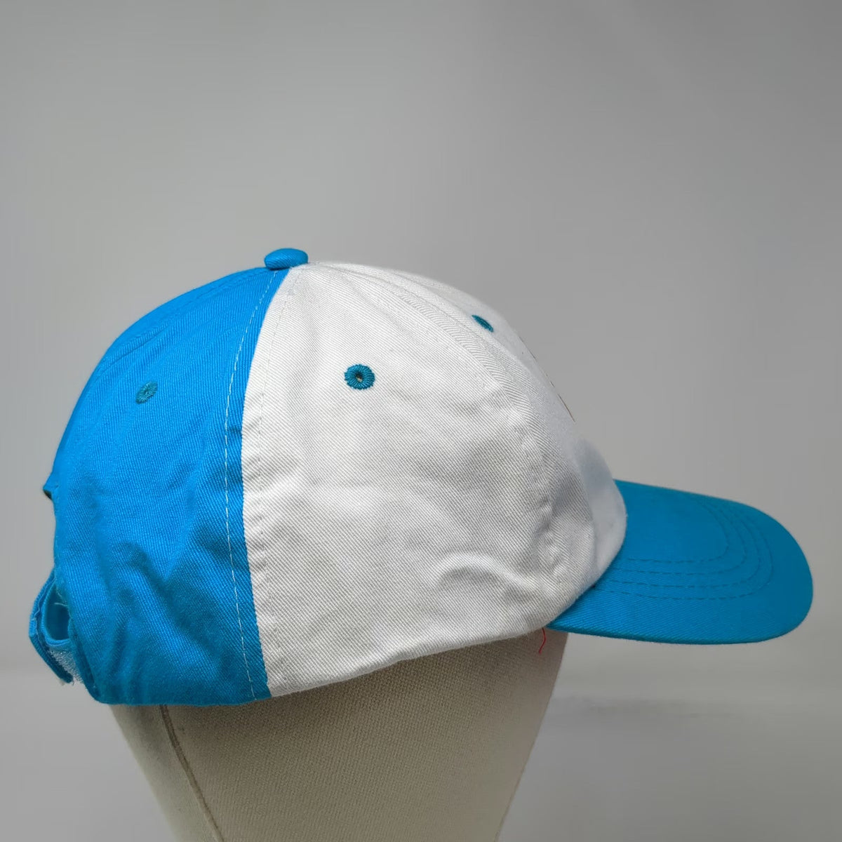 Baseball Cap White Blue One Size Sugar Skull Embroidered Day of the Dead Hat