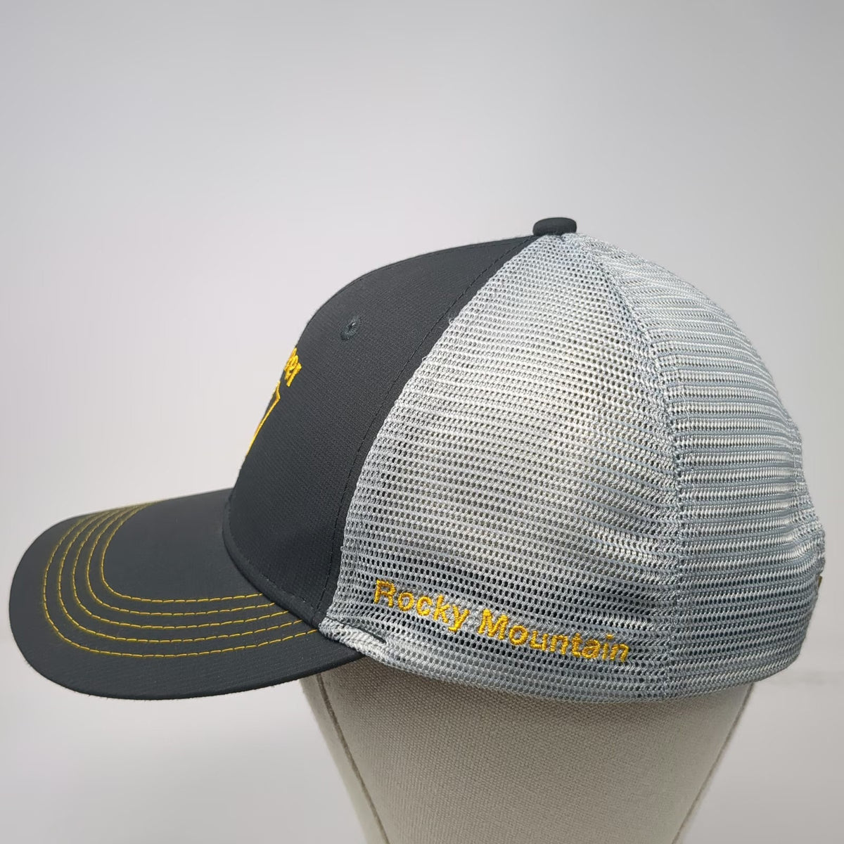 Identity Group Vermeer Rocky Mountain Gray Trucker Hat One Size Mesh Snapback