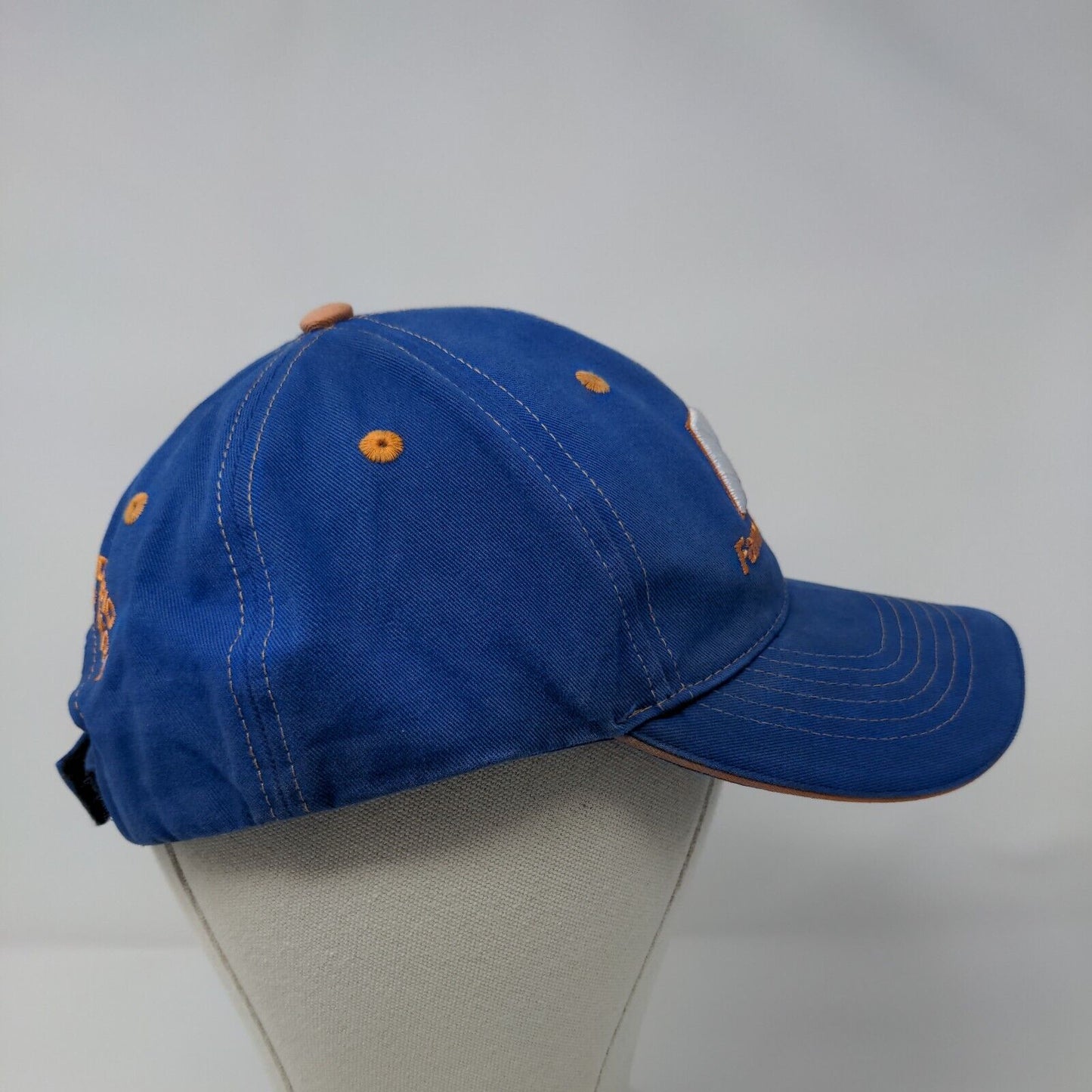 Farm Bureau Ins. Strapback Hat Blue One Size Adjustable Embroidered Buck's Bags