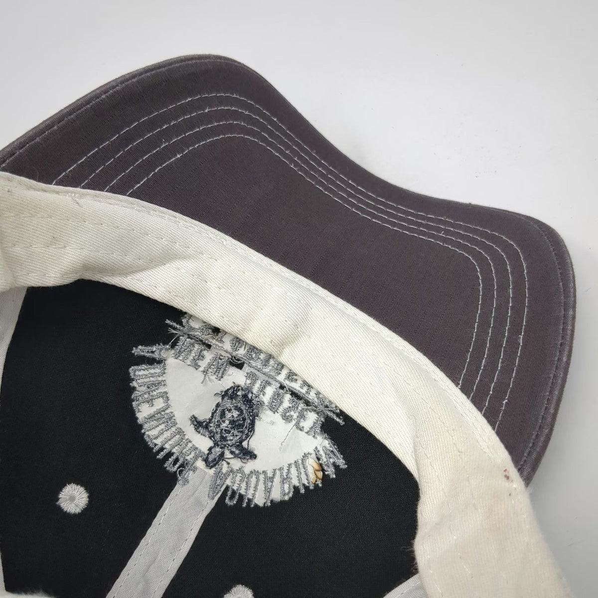 P. Mountain Gray Trucker Hat One Size Adventure Aquarium New Jersey Sea Turtle