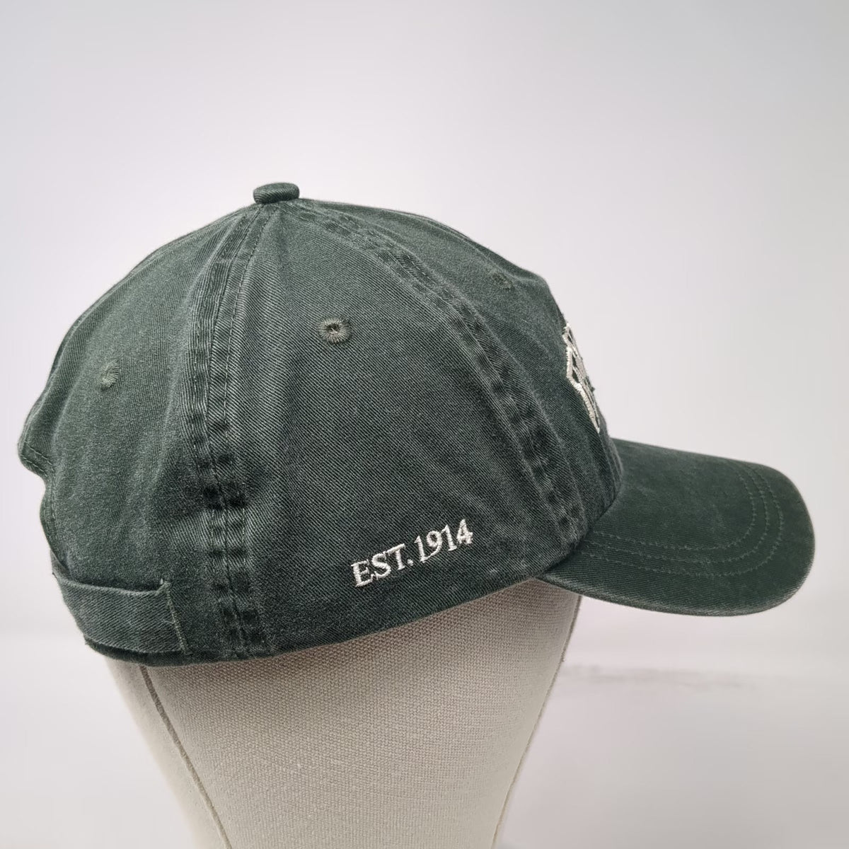 Ahead Baseball Cap Green One Size Jackson Hole Wyoming Est 1914 Strapback Hat