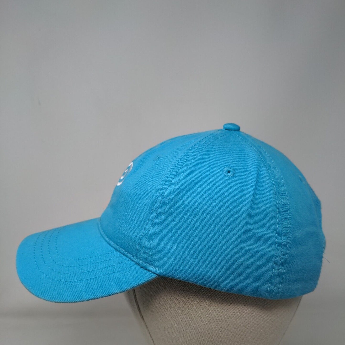 Lung Force Walk 2016-2017 Strapback Hat Blue One Size Cap America