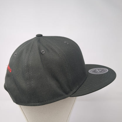 Natural Ventures Snapback Hat Gray OS Adjustable Embroidered Crowns by Lids