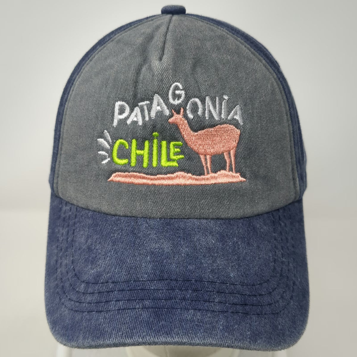 Patagonia Souvenirs Baseball Cap Blue One Size Chile Guanaco Adventure Hat