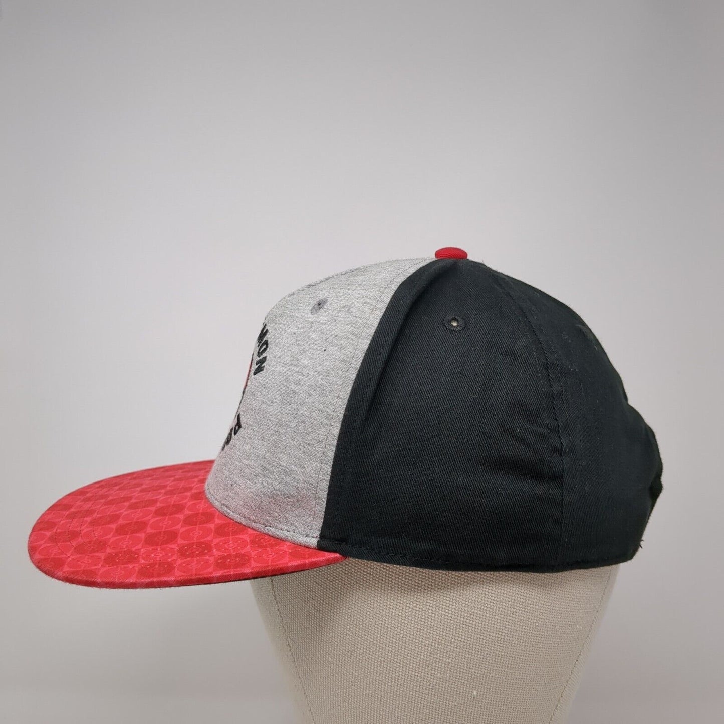 Pokemon Poke Ball snapback Hat Multi Youth OSFM Embroidered Colorblock