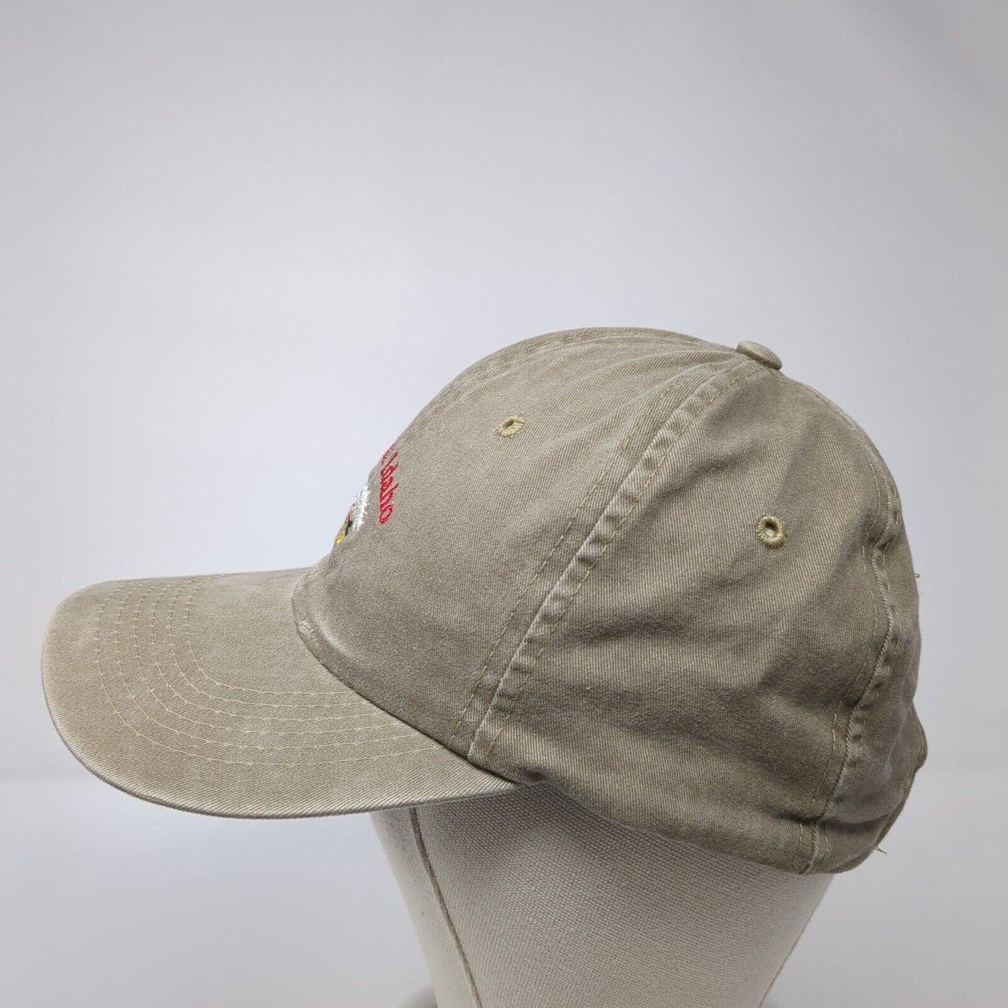 McCall Idaho Strapback Hat Brown One Size Solid Adjustable Embroidered