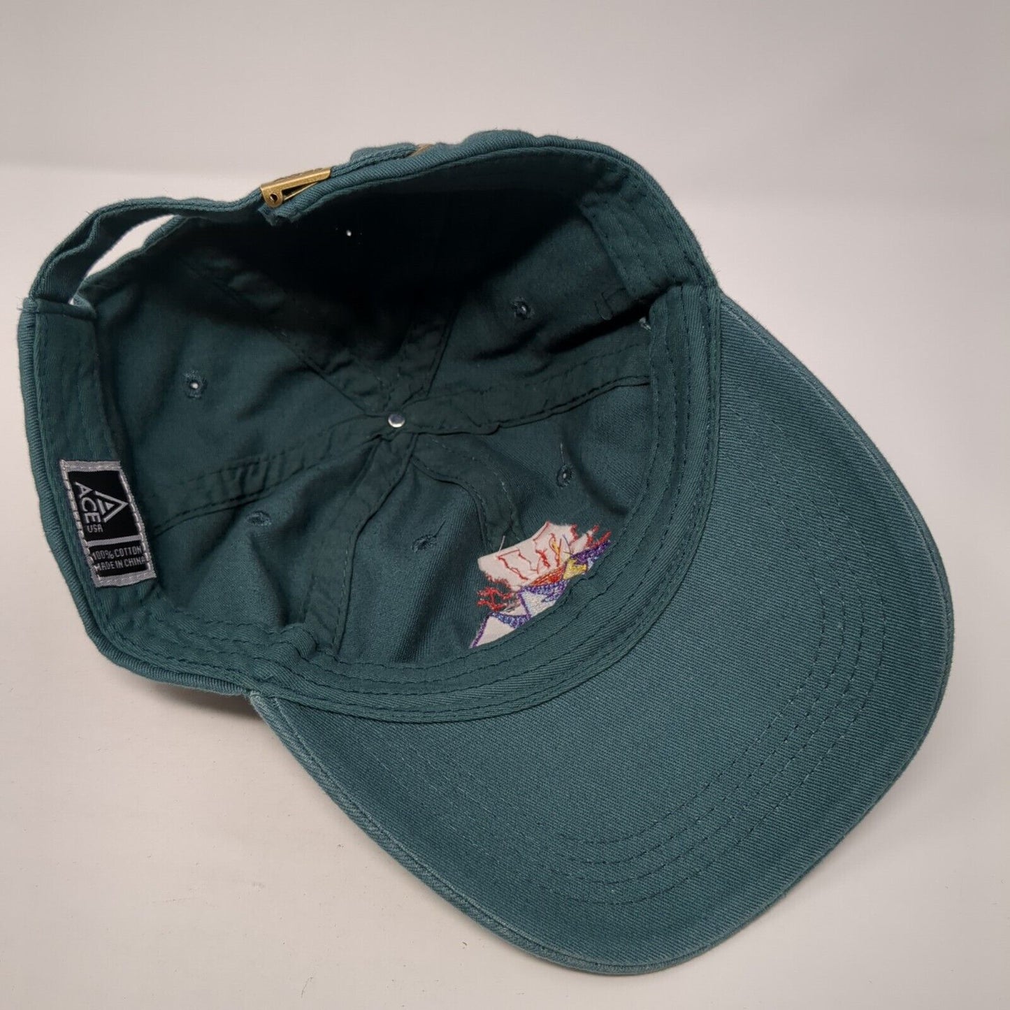 McCall Idaho Mountain Slideback Hat Green One Size Adjustable Ace USA