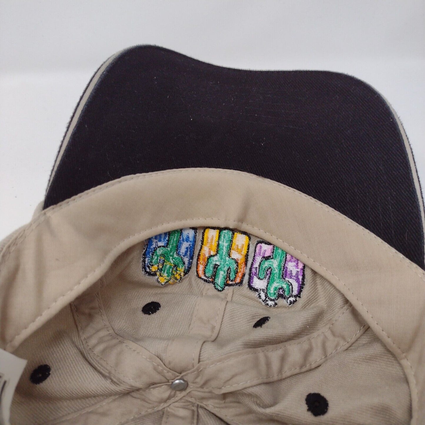 Cactus Tucson Slideback Hat Multi OSFM Embroidered Colorblock 6 Panel