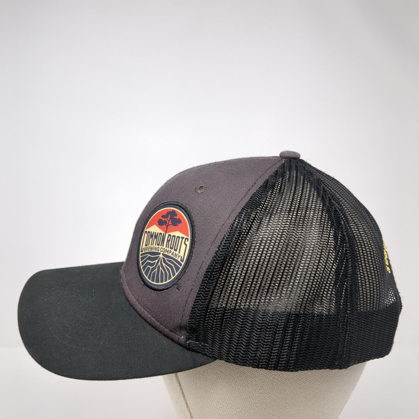 Common Roots Brewing Company South Glens Falls Trucker Hat Multi OS Mesh Max