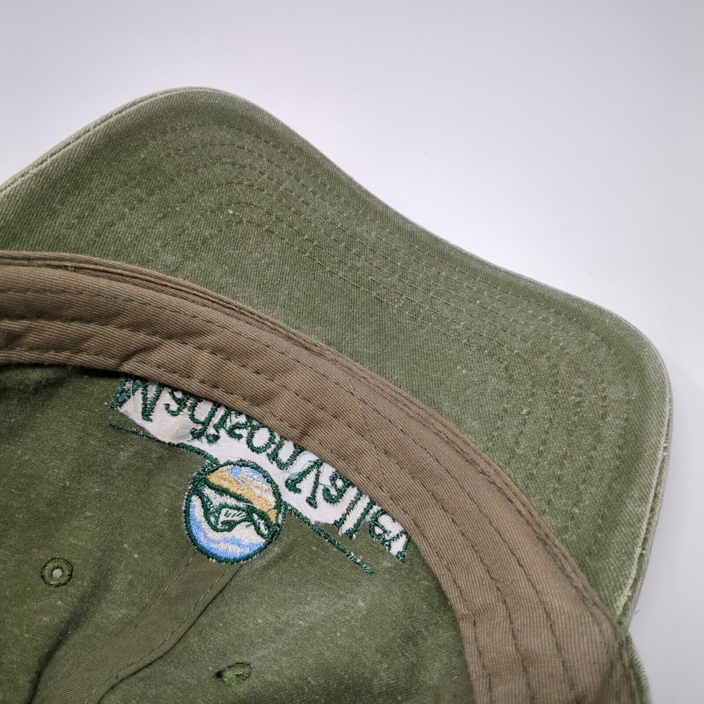 Madison Valley Bank Strapback Hat Green One Size Embroidered Otto