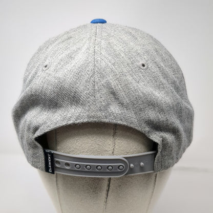 Element Snapback Hat Gray Blue One Size Graphic Wilderness Survival Mountain