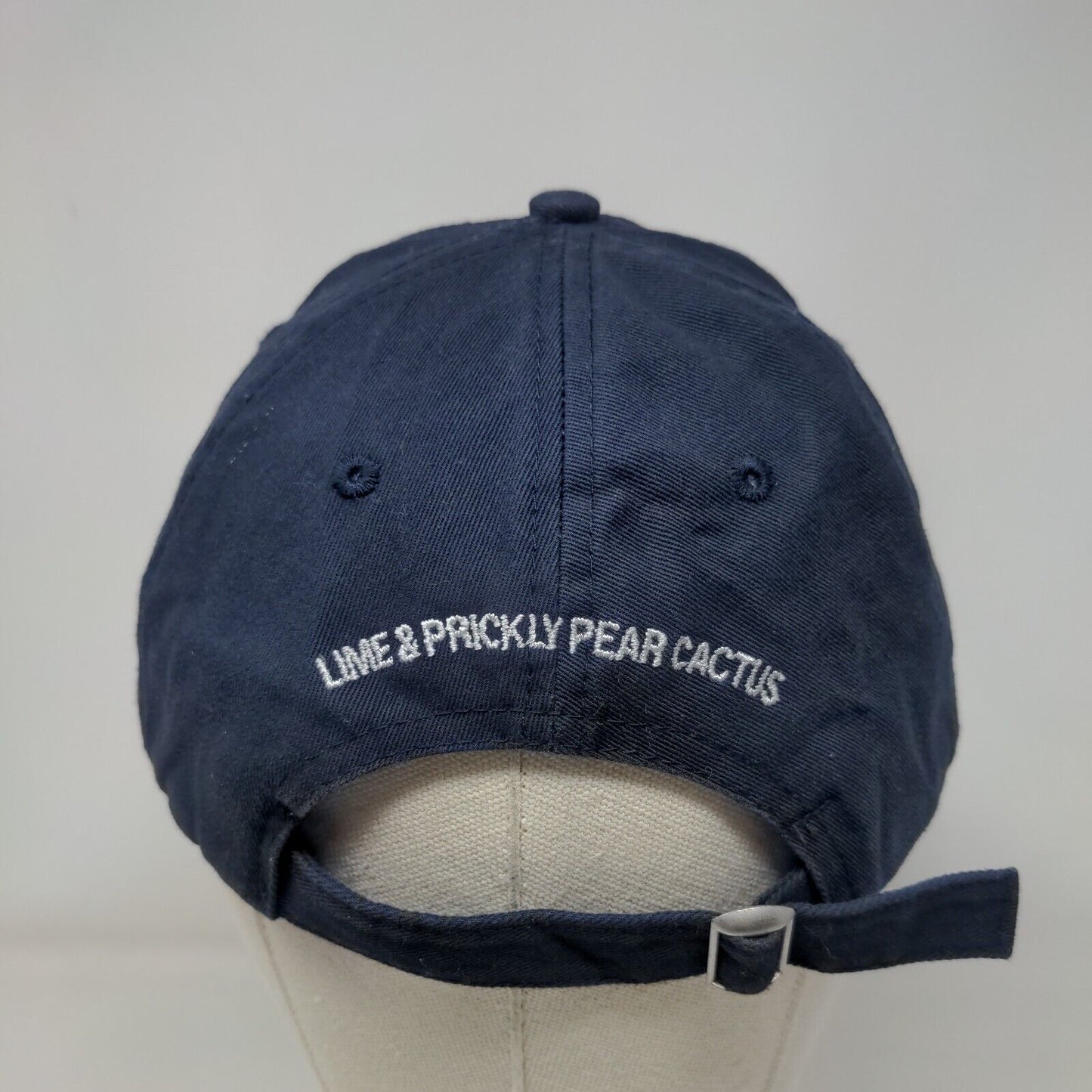 Michelob Ultra Infusions Slideback Hat Blue OSFM 6 Panel Quake City Caps