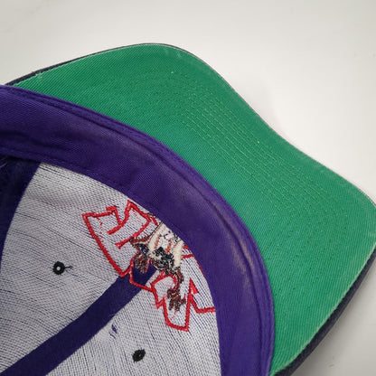 Purple Snapback Hat Tasmanian Devil Taz Character Green Underbrim Vintage