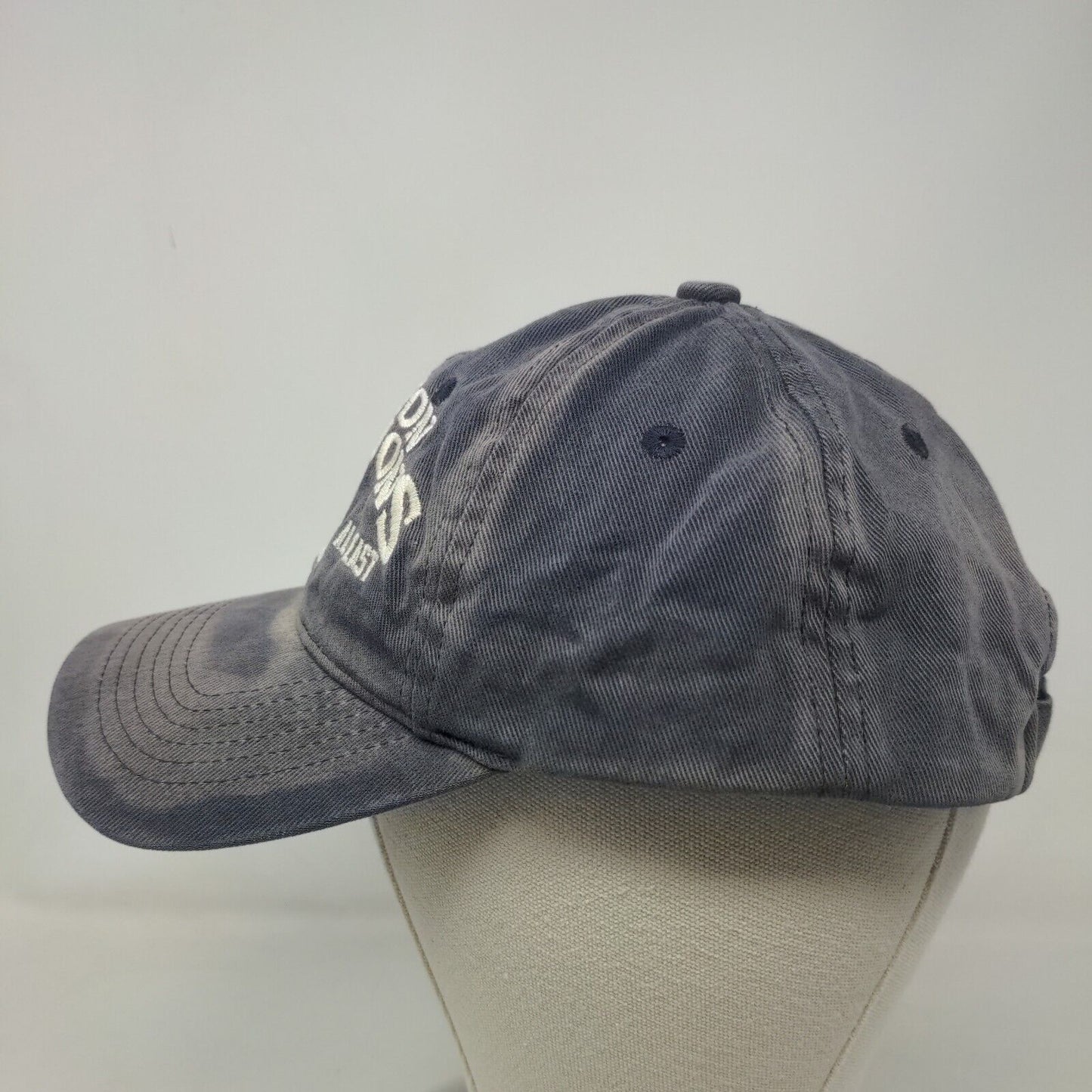 V41 Headwear Men's Strapback Hat Blue OSFM Tampa Bay Rays 2008 Division Champs