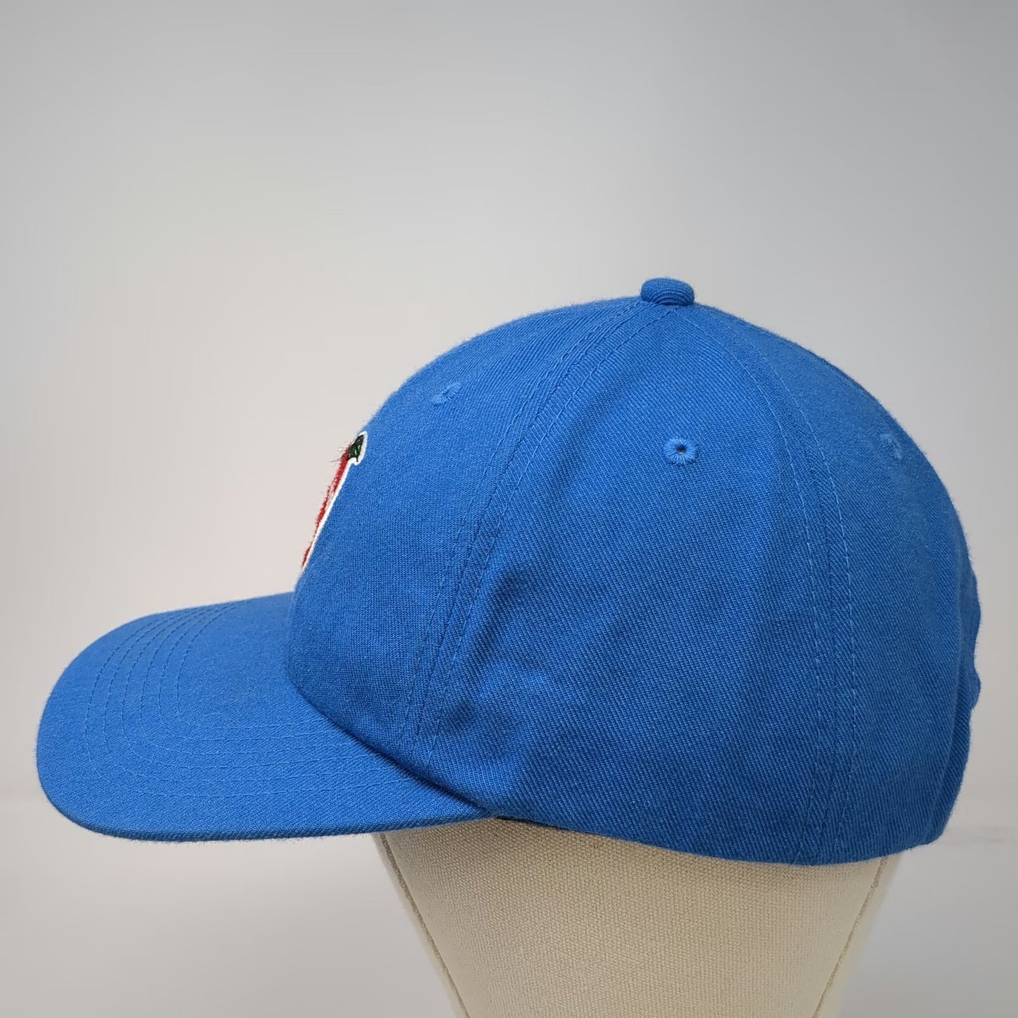Pleasures Snapback Blue One Size Fruits of Imagination Apple Wool Blend Hat