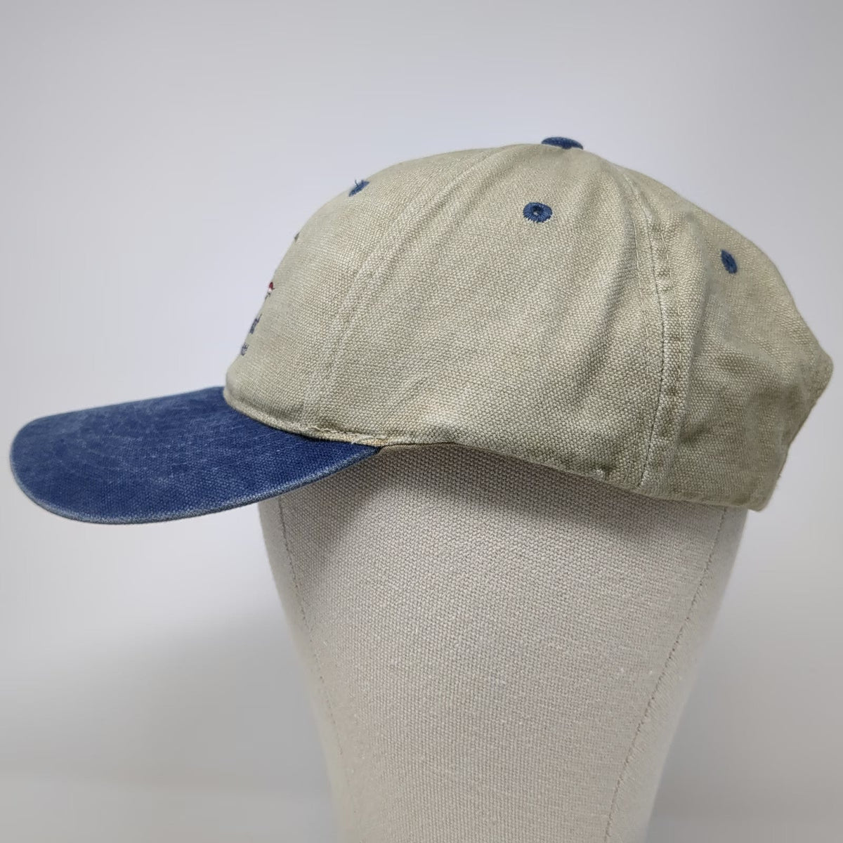 Nissin Baseball Cap Beige Blue One Size Simplot AgriBusiness Fish Smoky Hat