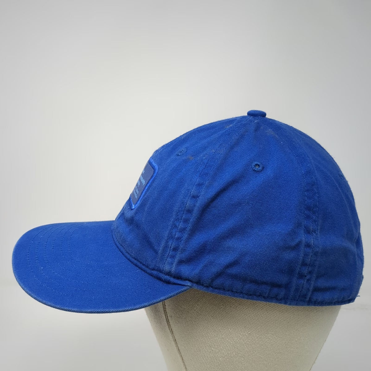 econscious Baseball Cap Blue One Size Organic Cotton Library Patch Strapback Hat