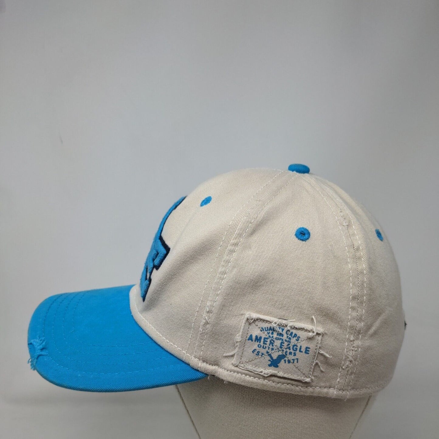 American Eagle Outfitters Fitted Hat Multicolor L/XL Embroidered 6 Panel