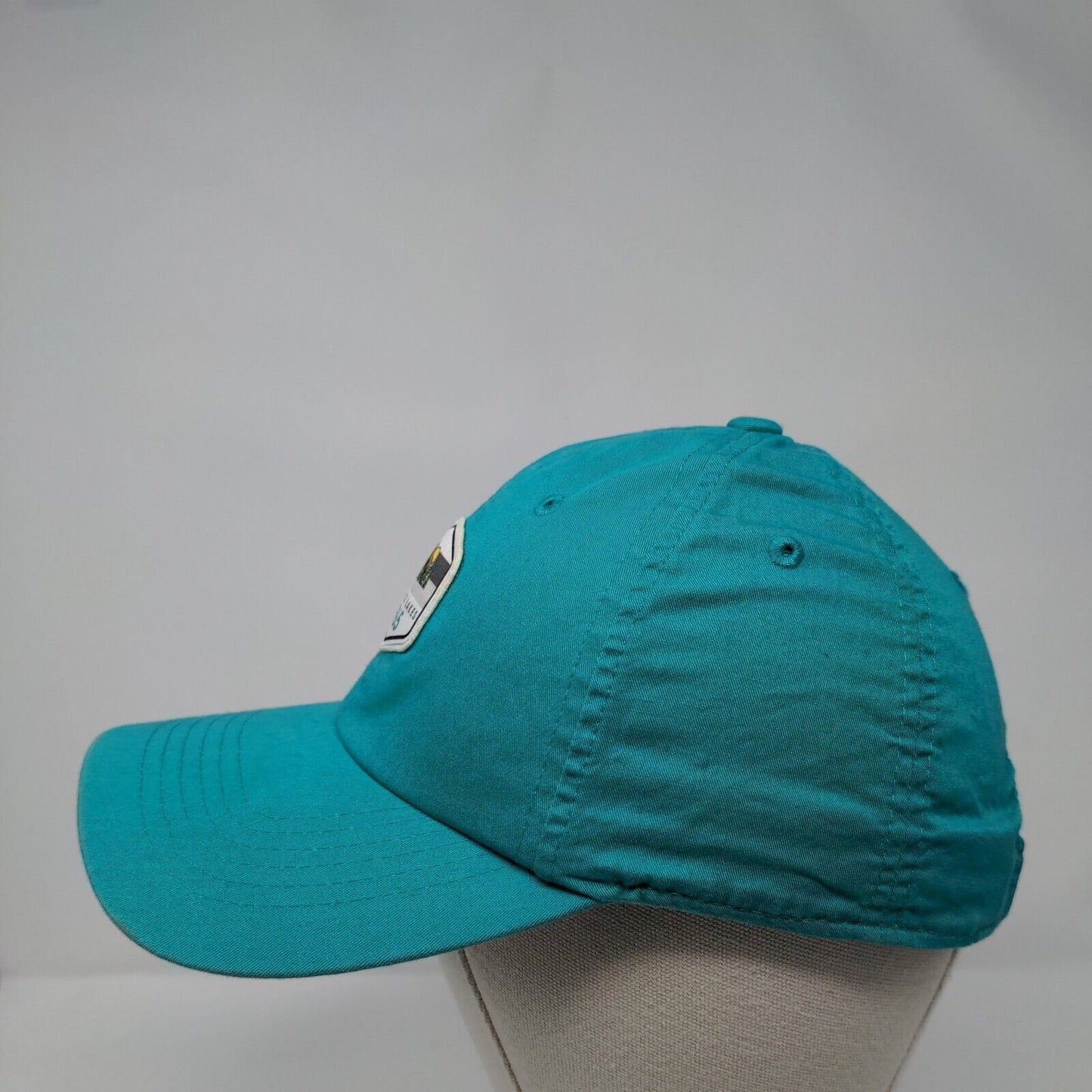 Terrace Lakes 1965 Strapback Hat Greenish-Blue OSFM Adjustable Levelwear Cotton