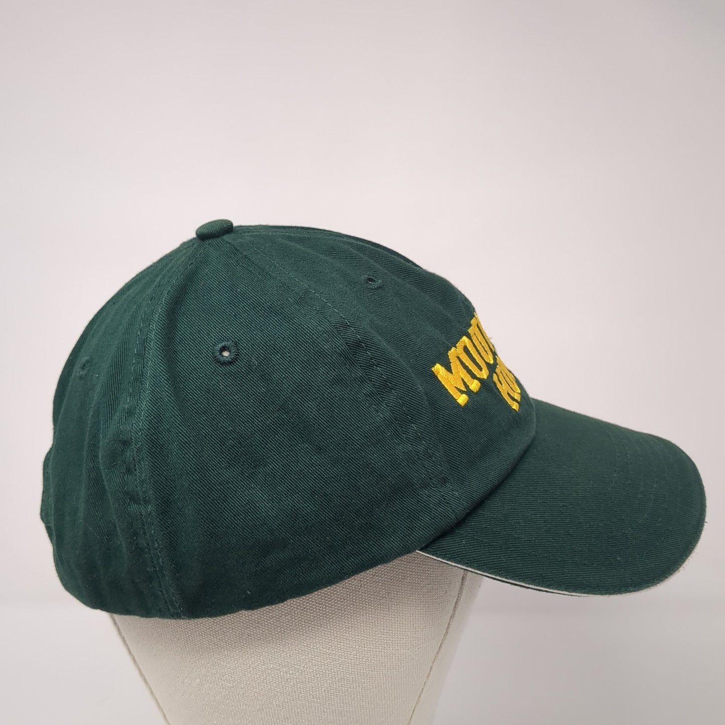Mountain Home Slideback Hat Green One Size Solid Embroidered Richardson