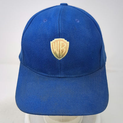K-C Snapback Blue Hat One Size Warner Bros WB Shield Logo Green Underbrim
