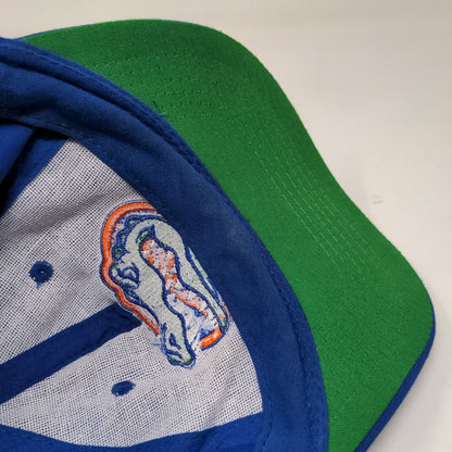 Logo 7 Men's Snapback Hat Blue Embroidered Florida Gators Adjustable