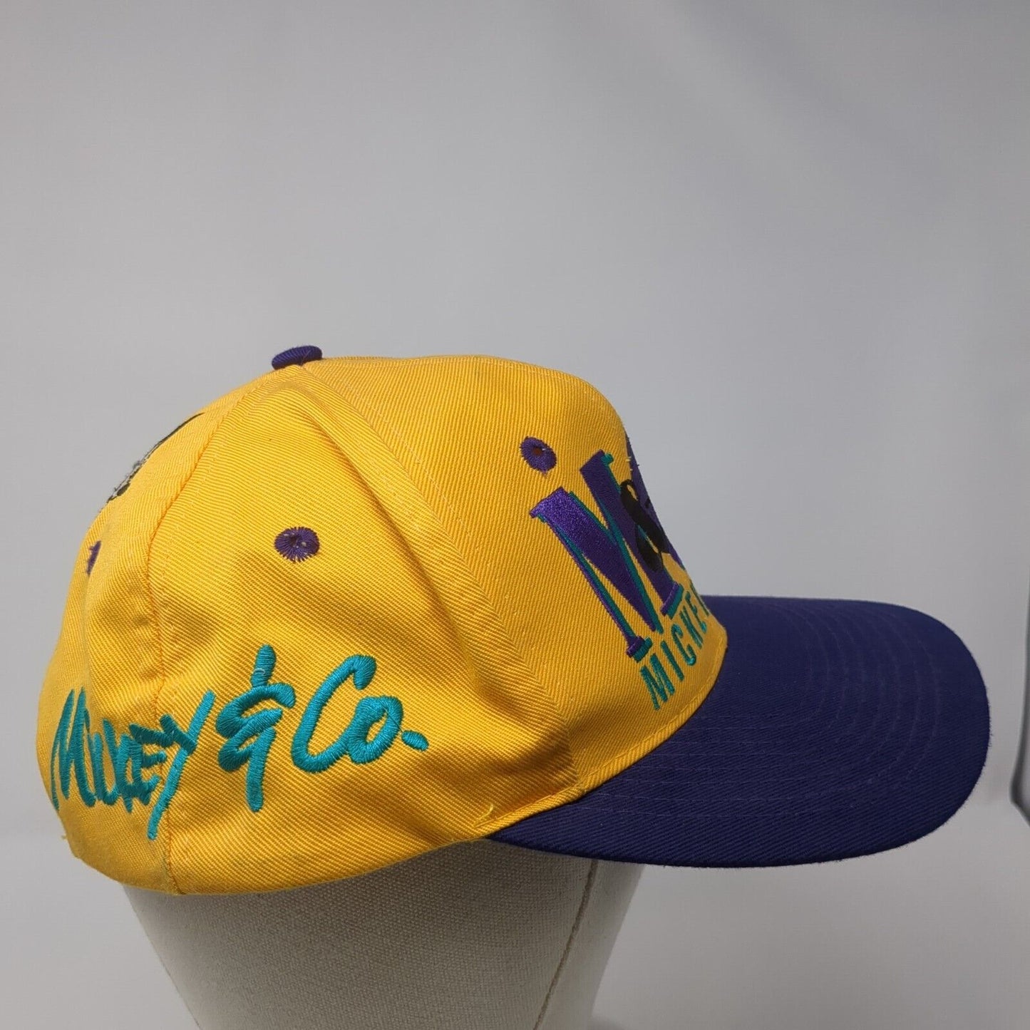 Mickey & Co. Snapback Hat Multi One Size Embroidered Colorblock Disney