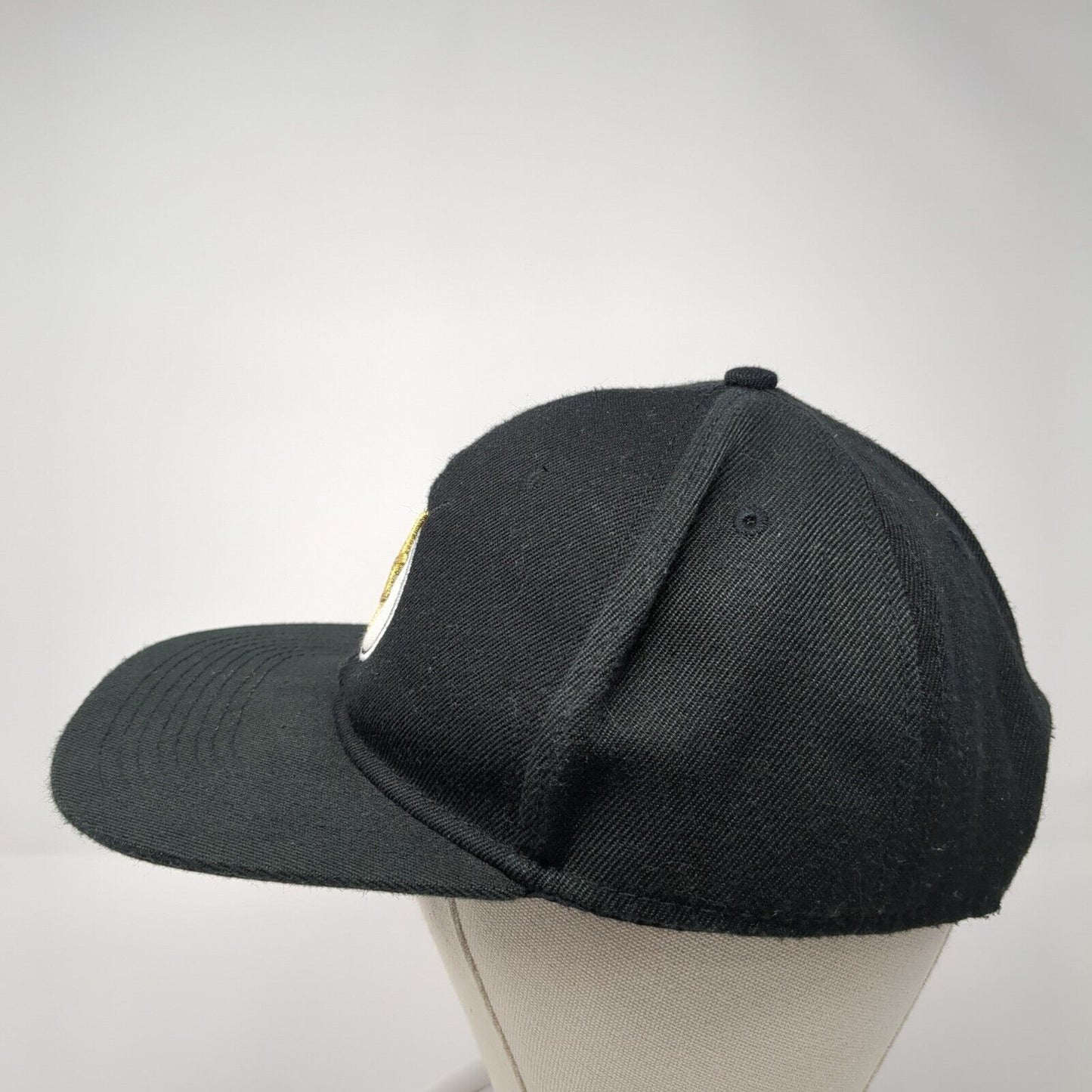 The Flash Snapback Hat Black One Size Adjustable Embroidered Comics