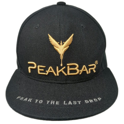 PeakBar Snapback Hat Black One Size Gold Silver Logo Flat Brim Peak Last Drop