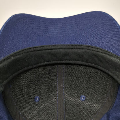 RVCA Snapback Hat Blue One Size 3D Embroidery Structured Cap Logo Surf Skate