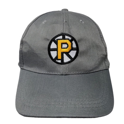 Unbranded Men's Strapback Hat Gray Embroidered NHL Providence Bruins Logo