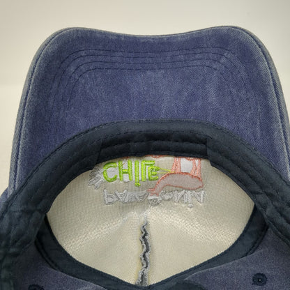 Patagonia Souvenirs Baseball Cap Blue One Size Chile Guanaco Adventure Hat