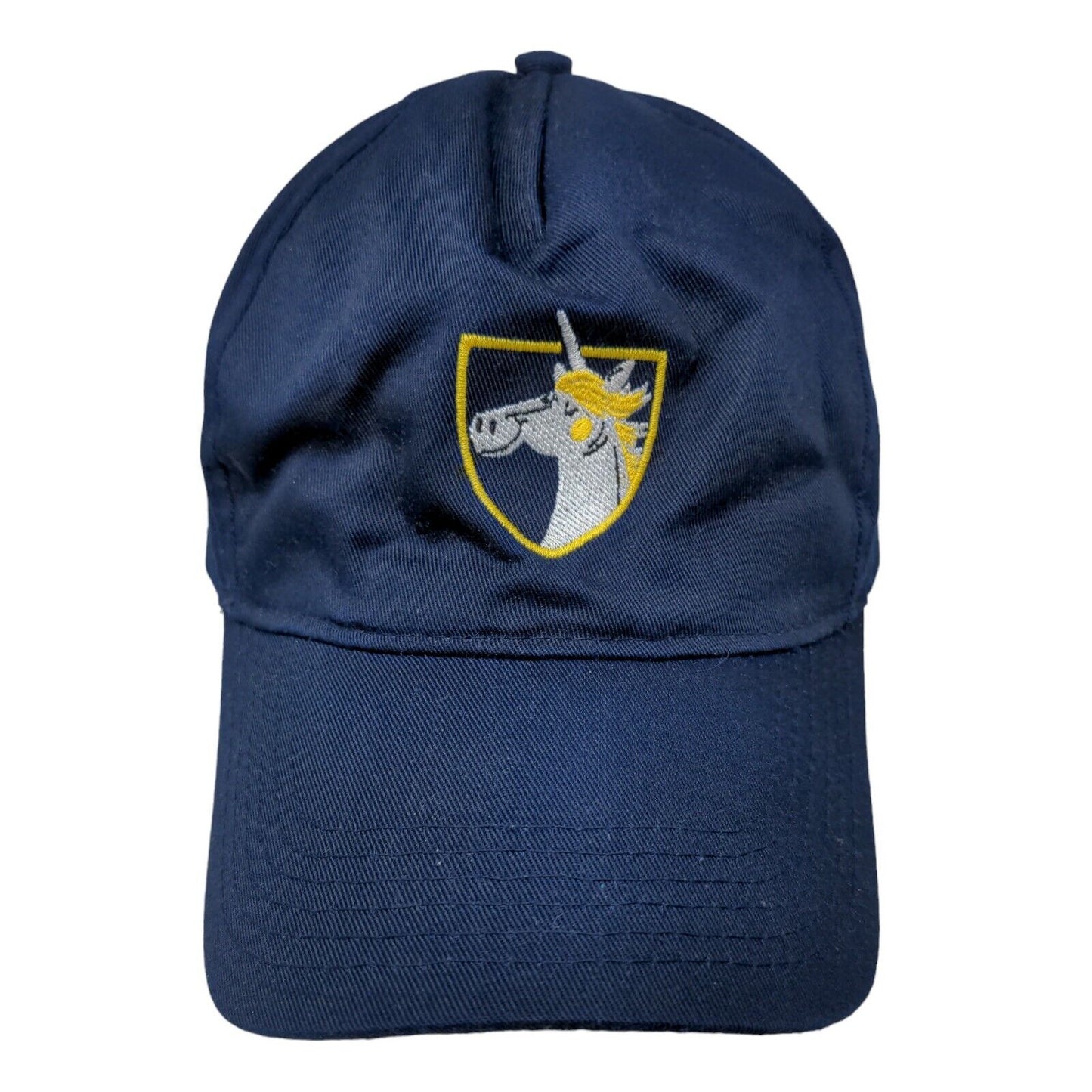 Democracy Prep Endurance School Men's Snapback Hat Blue Embroidered Logo