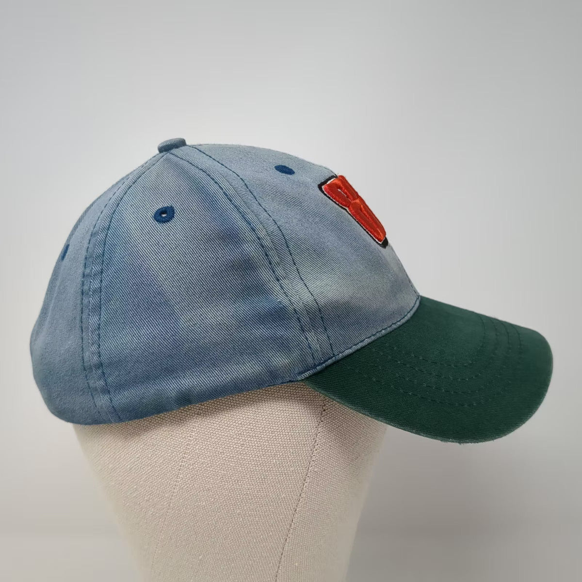 Dale Earnhardt Jr 88 NASCAR Kellogg's Racing Blue Green Strapback Hat Cap OSFM