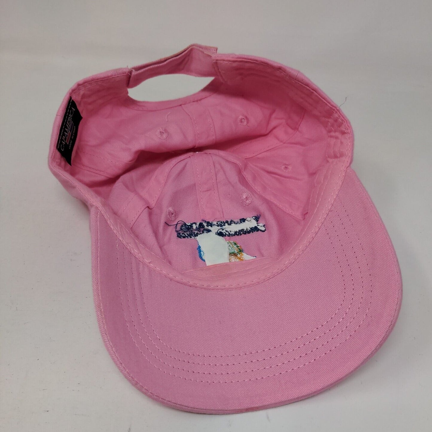 Soil And Water Conservation District Strapback Hat Pink One Size Embroidered